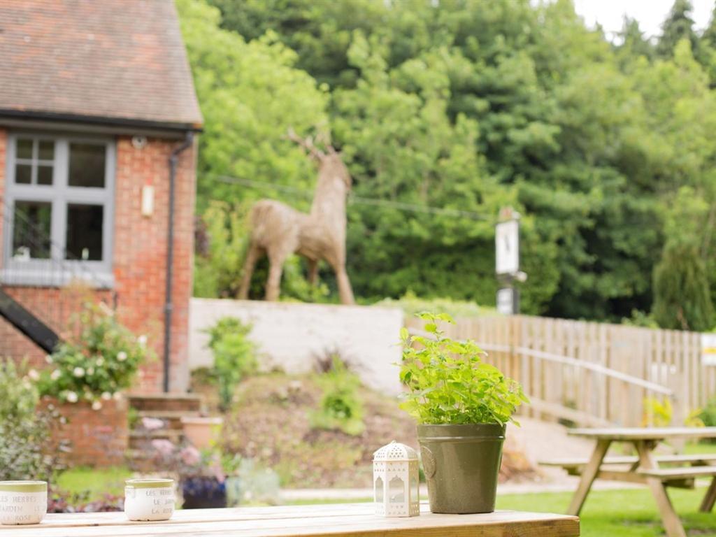 The Roebuck Inn Shedfield Exterior foto
